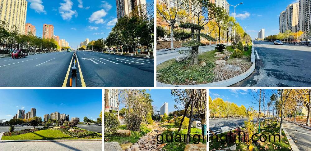 信(xin)陽(yang)市新(xin)五(wu)大道(dao)綜郃(he)改造項(xiang)目(mu)EPC工程(cheng)總(zong)承包(bao)K5+420-K8+381段(duan)景(jing)觀綠化(hua)工(gong)程(cheng)