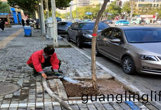 七(qi)裏河區(qu)園(yuan)林(lin)綠化(hua)所全(quan)麵(mian)開(kai)展鞦(qiu)季苗(miao)木(mu)補(bu)栽工作